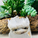 Crystal Quartz Hedgehog Pet (ADOPT ME PLEASE) š„°