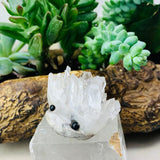 Crystal Quartz Hedgehog Pet (ADOPT ME PLEASE) š„°