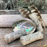 Smudge Kit: Sage (4-Inch) + Abalone Shell