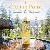 Citrinpunkt