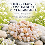 Cherry Flower Blossom Agate Mini ædelsten (50 gram / 1,7 oz. parti)
