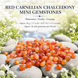 Red Carnelian Chalcedony Mini Gemstones (50 Gram / 1.7oz. Lot)