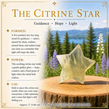 Citrine Star + Point Abundance Set