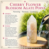Flor de cerejeira Ponto de ágata