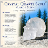 Crâne de quartz en cristal (grande taille)
