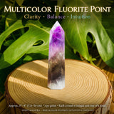Ensemble intuitif de 6 pièces en fluorite multicolore