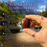 Elipse caída de olho de tigre vermelho
