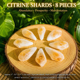 Obsidian & Citrin Energy Enhancer Sæt