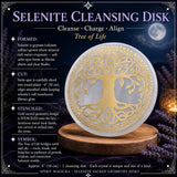 Selenite L'Albero Della Vita Disco Purificante