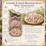 Cherry Flower Blossom Agate Mini ædelsten (50 gram / 1,7 oz. parti)