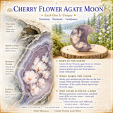 Cherry Flower Blossom Agate Crescent Moonstone