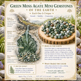 Μίνι πολύτιμοι λίθοι Green Moss Agate (50 γραμμάρια / 1,7 oz. Παρτίδα)