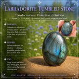 Z ARRON DESIGN Colar com pingente de fio de cobre Serenity Moonstone