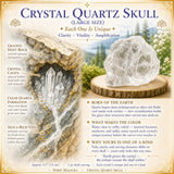 Crâne de quartz en cristal (grande taille)