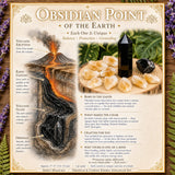 Obsidian & Citrin Energy Enhancer Sæt