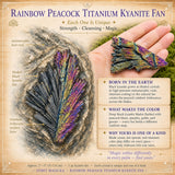 Rainbow Peacock Titanium Kyanite Fan