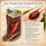 Elipse caída de olho de tigre vermelho
