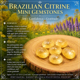 Conjunto de bolsas de cristal radiante de bem-estar e riqueza