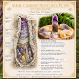 Ensemble intuitif de 6 pièces en fluorite multicolore