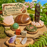 Scatola del tesoro della saggezza della terra del drago