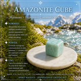 Hvetjandi Apatite + Allies Crystal Box Knippi