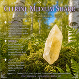 Grounding Tiger's Eye + Allies Crystal-collectie