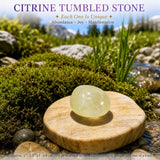 Crystal Sampler Bundle No.2