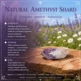 Amethyst-Sammlerset