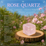 Set di cubi burattati da 19 pezzi
