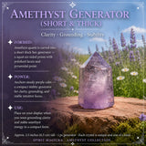 Amethyst-Sammlerset