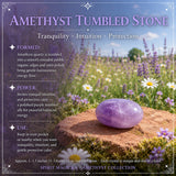 Amethyst-Sammlerset