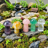 5-Piece Gemstone Mushrooms Kit