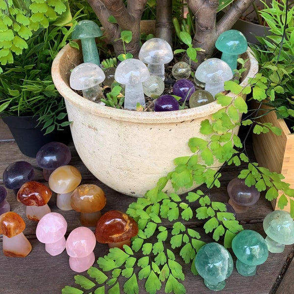 20 Mushroom Gemstones Set - collection