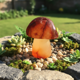 Carnelian Mushroom