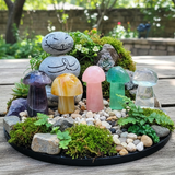 5-Piece Gemstone Mushrooms Kit