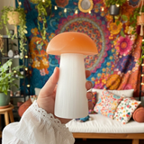 Mystical Selenite Mushroom Mood Light