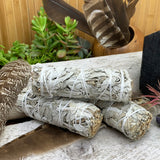 Paquetes de salvia blanca de 4 pulgadas