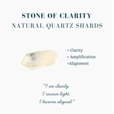 28 Piece Obsidian Protection Grid PLUS BONUS FREE TEKTITE