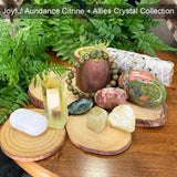 Joyful Abundance Citrine + Allies Crystal Collection