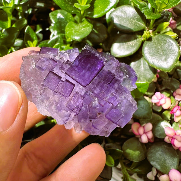 Groot (1,19 lbs.) Purple Flash Labradorite Freeform (Item #0077)