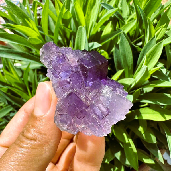 Groot (1,19 lbs.) Purple Flash Labradorite Freeform (Item #0077)