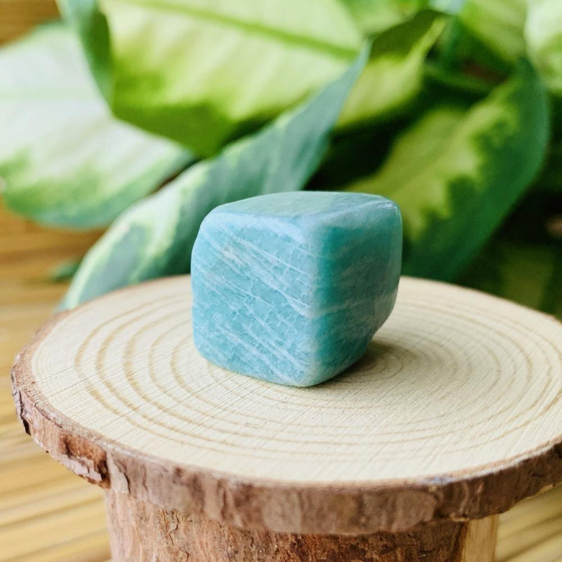 Amazonite Tumbled Stone Set of 12 - tumbledstone