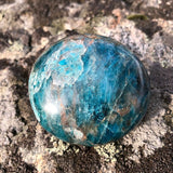 FREE GIVEAWAY! Apatite Palmstone - (Just Pay Cost of Shipping)