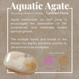 Aquatic Agate (Mini) Palm Stone - palmstone