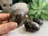 Black Moonstone Palmstone - palmstone