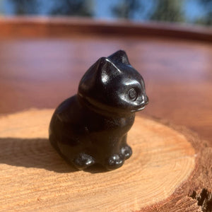 Crystal Animal Spirit Totems: Black Protection Agate Cat