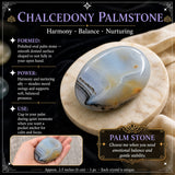 Kalsedon palmestein