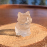 Cogumelo Carnelian