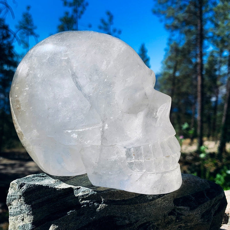 Crystal Mood Light (Quartz Skull Large)
