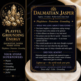 Dalmatisk Jaspis Worry Stone